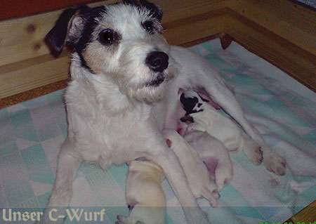 Neues