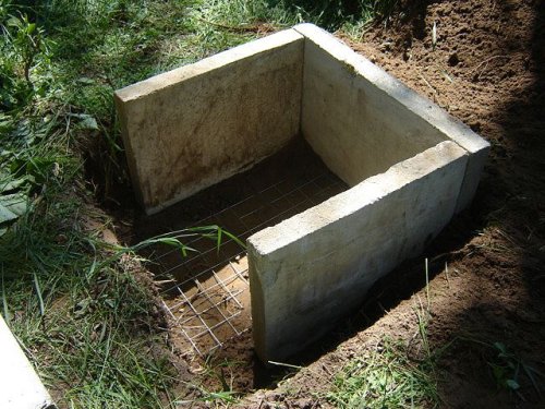 bau_bau03.jpg