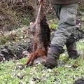 Nach erfolgreicher Baujagd 